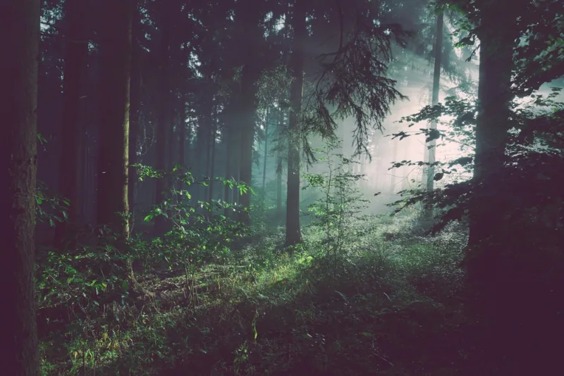 Spiritual Privacy & Microphone Security: Our Zero-Recording Engineering Standard
